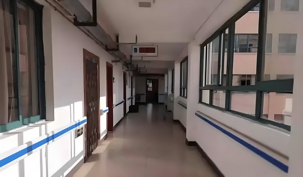 邪魅将军的现代夫人